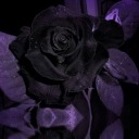 beautyandsheabutta avatar