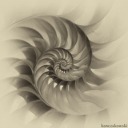 beautyfractals000 avatar