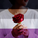 beautyinflight avatar