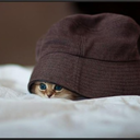 beautyinmusic28 avatar