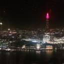 beautyinthe-rain avatar