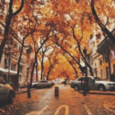 beautyiskey818 avatar