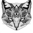 beautylovingcat-blog avatar