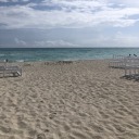 beautyneedsbrains avatar