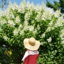 beautyofjustice avatar