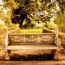 beautyoflanguage avatar