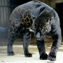 beautyoflife122 avatar