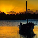 beautyofmauritius avatar