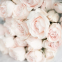 beautythoughtsinspiration-blog avatar