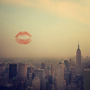 beautywilson avatar