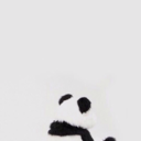 bebekmavisiiiii avatar