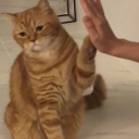 bebita-fiu-fiu avatar