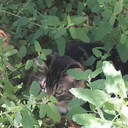 because-the-feels avatar