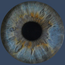 becausefeelings avatar