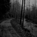 becausethesefeels avatar