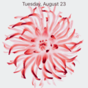 becca-thatsall avatar