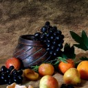 beccabrodtman avatar