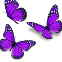 beccad05-blog avatar