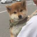 beckonrebound avatar