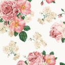 becks-tea-blog avatar