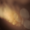 becktecture-blog avatar