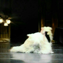 beckywiththebadchoices avatar