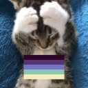 become-plural avatar