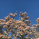 becomesjustanotherstory avatar