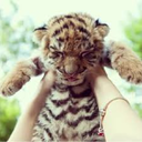 becoming-my-own1995 avatar