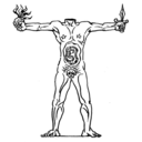 becomingheadless avatar