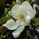 becomingjamielynn avatar