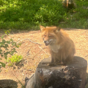 becominglegallyblonde avatar