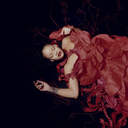 becutifulcrime avatar