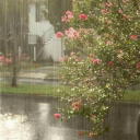 bedazzledcheetopuffs avatar