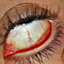 bedazzledpoontang2001-blog avatar