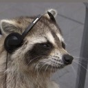 bee-not-butterfly avatar