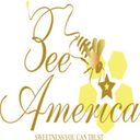 beeamerica avatar