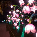 beebooksworld avatar