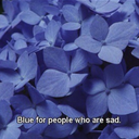 beeeeeeeeeeeeeeeeeer-blog avatar