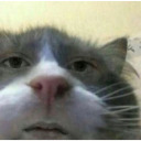 beeeeeeeeeep2002 avatar