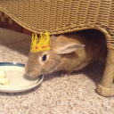 beefsaladthethirtythird avatar