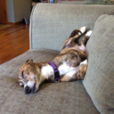 beefyandotherstuff avatar