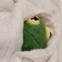 beeirene333-blog avatar