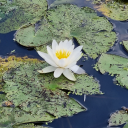 beemymoonlight avatar