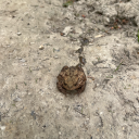 beenkbeenkson avatar