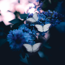 beentoheavenandback avatar