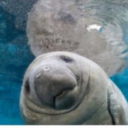 beepboopbipping avatar