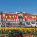 beepbopboopop avatar