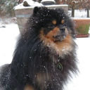 beertjeitsinthestars avatar