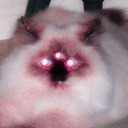 bees-bees-bees-bees-bees avatar